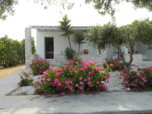 Christiana Hotel Paros Greece