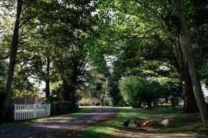 B&B / Chambres d'hotes Ferme de l'Abbaye : photos des chambres