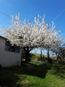 Apartement Il Ciliegio del Pellegrino Gubbio Itaalia