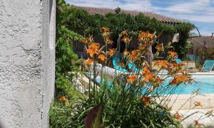 Michèle et Didier Lin