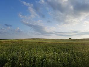 BIO Farma & Penzión Zlatý Hýľ