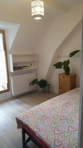 Maisons de vacances Au Soleil Joyeux : photos des chambres