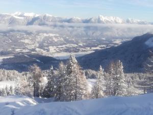 Apartments Susanne und Jasmin - Haus Sonnleitn