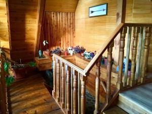 Chalet de Montaña-Espacio y Tiempo