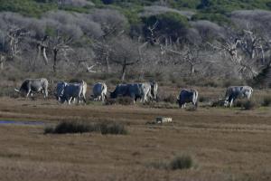 Agriturismo Redipuglia