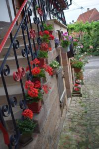 B&B / Chambres d'hotes Chambres d'hotes 