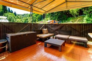 Czarter Jachtów Bez Patentu