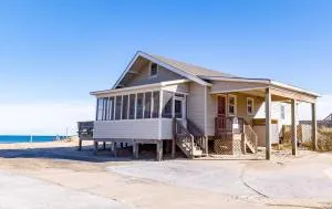 Aqua Hol - Whalebone