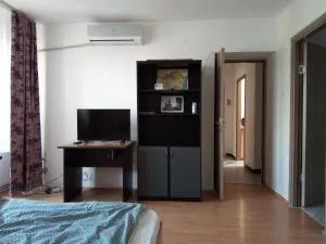 Central Apartment 2 - 蒂米什瓦拉