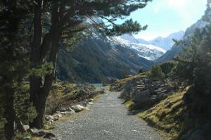 Appart'hotels Appart Le Chili- Quartier thermal- Parc remarquable - Linge fourni : photos des chambres