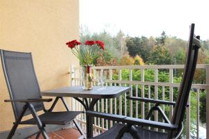 Apartment with Balcony room in Appartmenthaus Duenenschloss