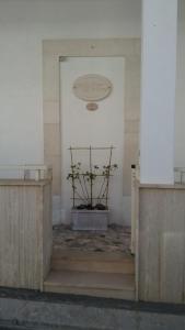 A casa da Dino