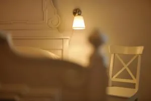 Zámek Nové Město nad Metují - Spy