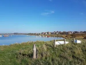 Tinyhouse Thorøhuse - Brunshuse