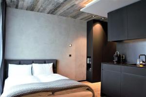 Studio Superior room in Andermatt Alpine Apartments