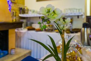 ''EPAVLIS boutique GALAXIDI'' Parnassos Greece