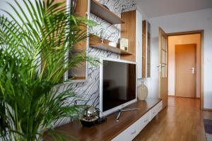 Appartement SGL apartment Liptovska Trenč&iacute;n Slowakei