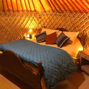 McClure Yurt at Carrigeen Glamping - Reevanagh
