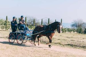 Ferme les Escuyers photo 15