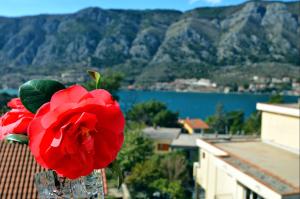 DC Apartment C - Hotel 4 stelle a Kotor (Cattaro)