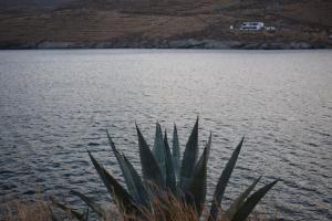 Villa captain koni kythnos Kythnos Greece