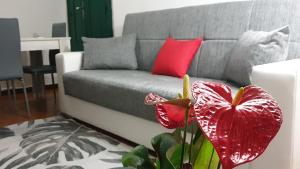 The Good Place img44