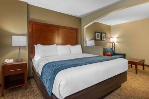 King Room with Sofa Bed - Non-Smoking room in Comfort Inn Ocala Silver Springs