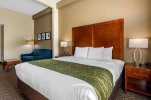 King Suite with Sofa-Bed - Non-Smoking/Pets Friendly room in Comfort Inn & Suites Wildwood – The Villages