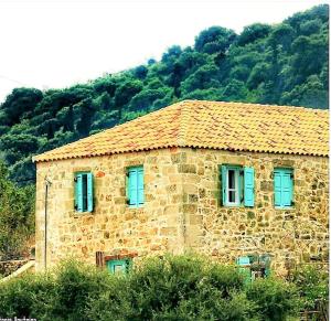 obrázek - The House. Light & Stone.