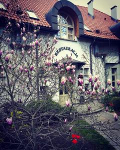 Pałac Czarny Las (50 km od Katowic)