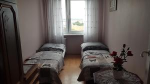 APARTAMENT CENTRUM MIASTA
