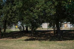 Apartman Matošević