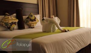 Cycad Palm Guest House Palapye.