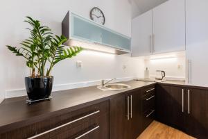 Victus Apartamenty Apartament Arkadia