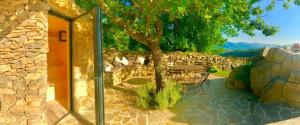 Wild boar mountain, South of France very private and pool