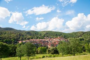 Hotels Le Roussillon : photos des chambres