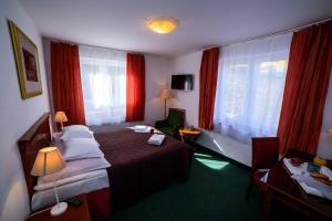 Double Room with Shower room in Królowa Śniegu