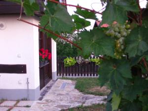 POČITNIŠKA HIŠA KOG