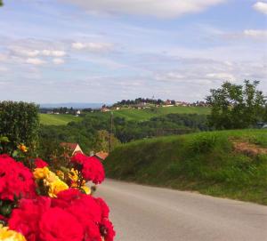 POČITNIŠKA HIŠA KOG 