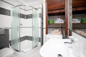 SAS Apartamenty New Park