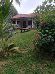 Star beach hotel