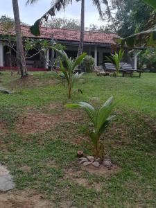 Star beach hotel