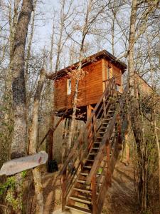 Campings Cabanes Sainte Camelle : photos des chambres