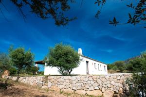 Case Vacanze S'Arrexina img3