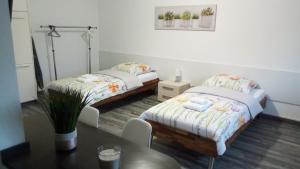 Appartements Studios near Basel Airport : photos des chambres