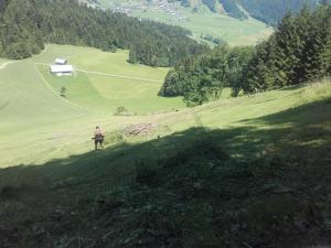 kirchdorf 300