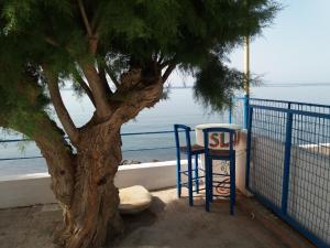 Mediterranean Apartment by the Sea Lasithi Greece