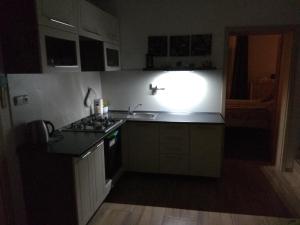 NOVODVORSKÝ APARTMÁN SÁRA