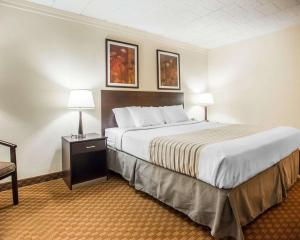 King Room - Non-Smoking room in Econo Lodge Inn & Suites Shamokin Dam - Selinsgrove