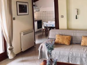Apartments Petricic with swimming pool 